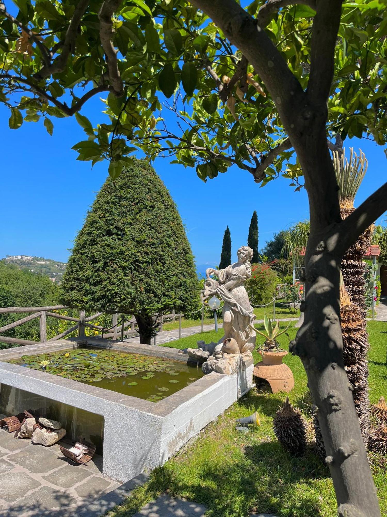 Hotel Terme La Pergola Casamicciola Terme